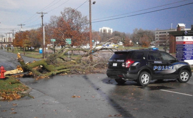 Normal storm damage